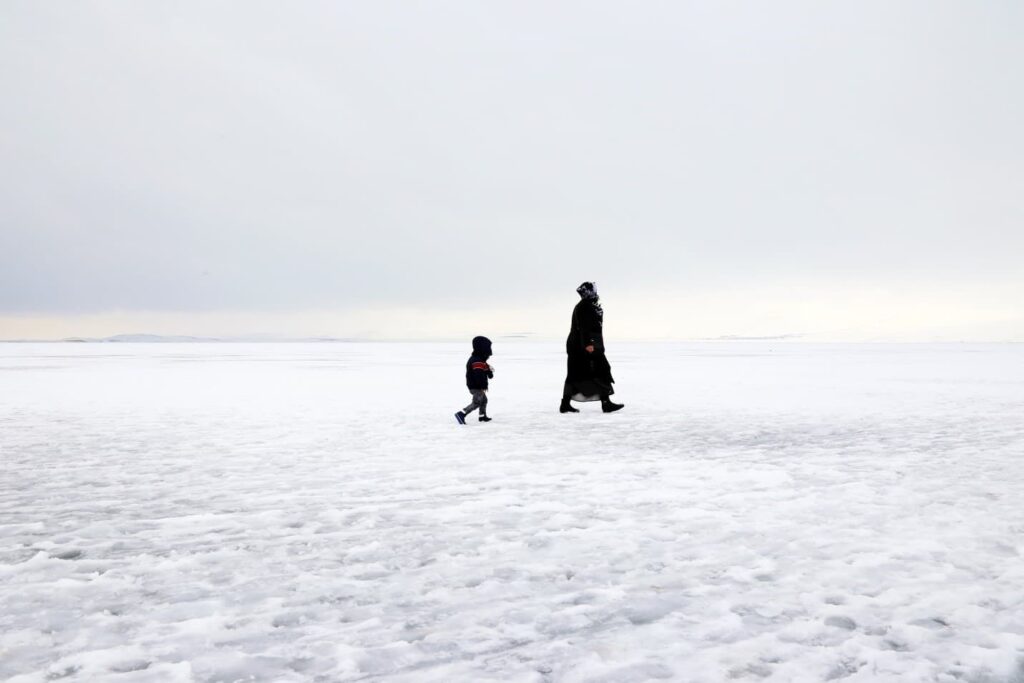 snow, walking, winter