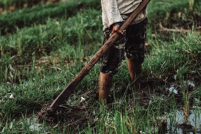 A man working on a farm with a hoe