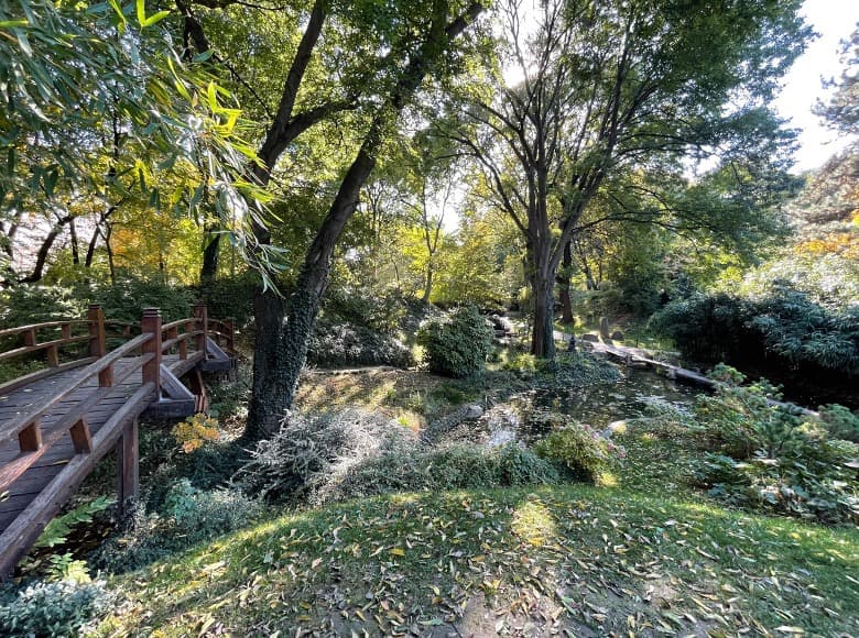 A Japanese garden with a wooden bridge.