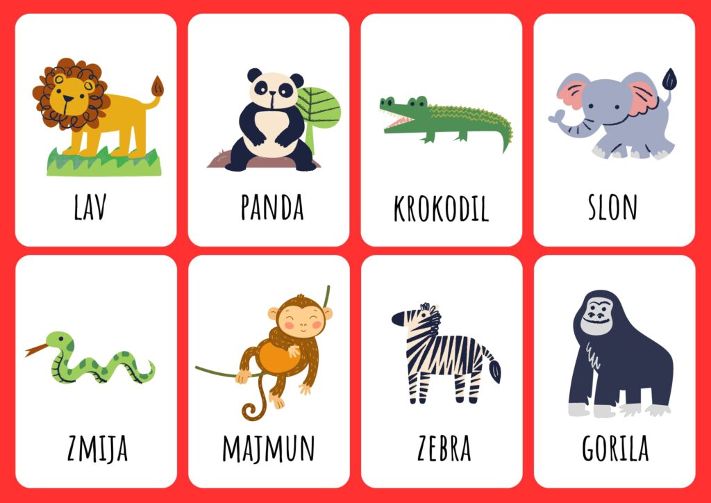 A set of flashcards with animal pictures and their names in Serbian