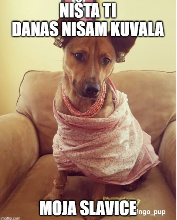 A popular Serbian meme featuring Slavica — a character similar to Karen.