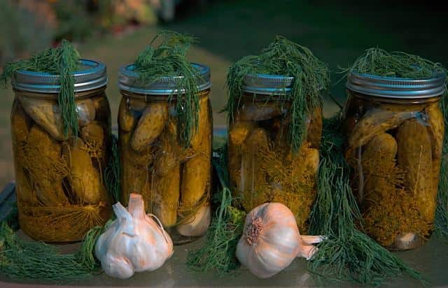 Four jars of pickled cucumbers.