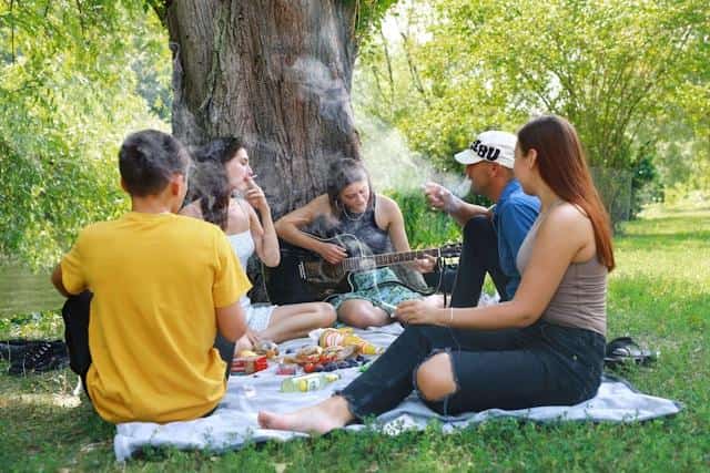 Five people having a picnic in a park and smoking cigarettes.
