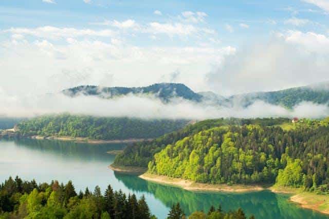Tara Mountain — one of the popular spots for camping in Serbia.